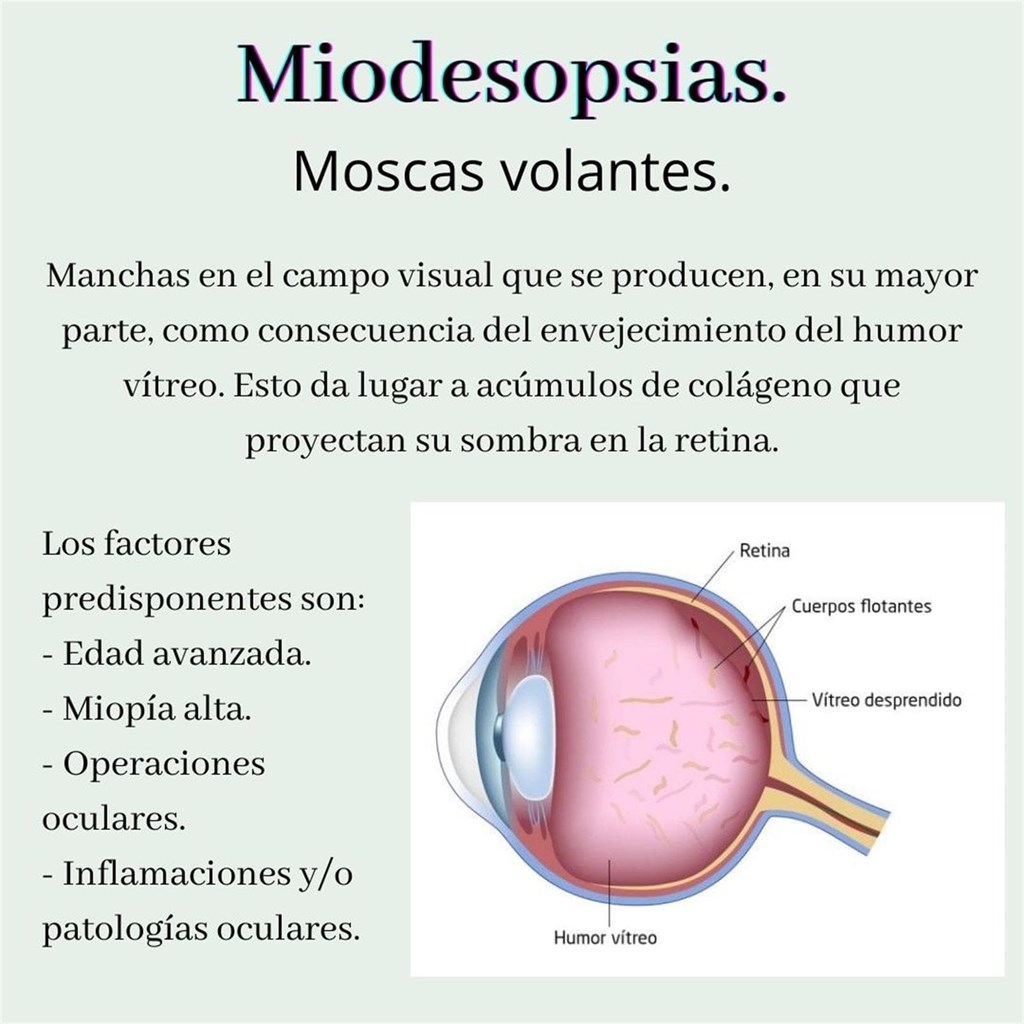 Miodesopsias.